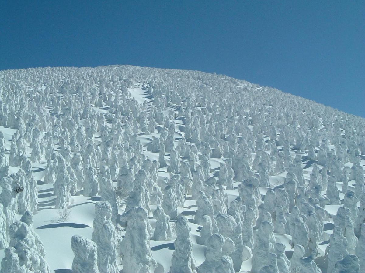 Le Vert Zao Yamagata  Exterior foto